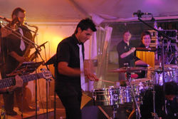 Steve martellotta 3.jpg
