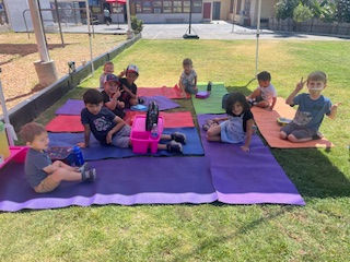 Picnic Week