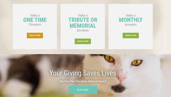 make-money-blogging-with-donations.png
