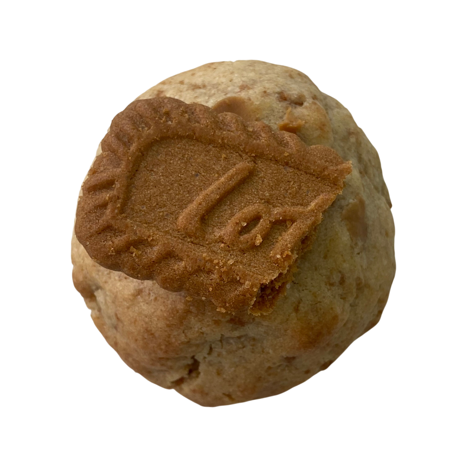 Biscoff Cookie