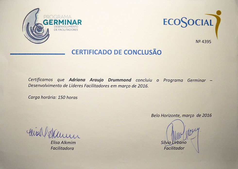 Programa Germinar: Desenvolvimento de Lideres Facilitadores – Instituto Eco Social – Belo Horizonte 