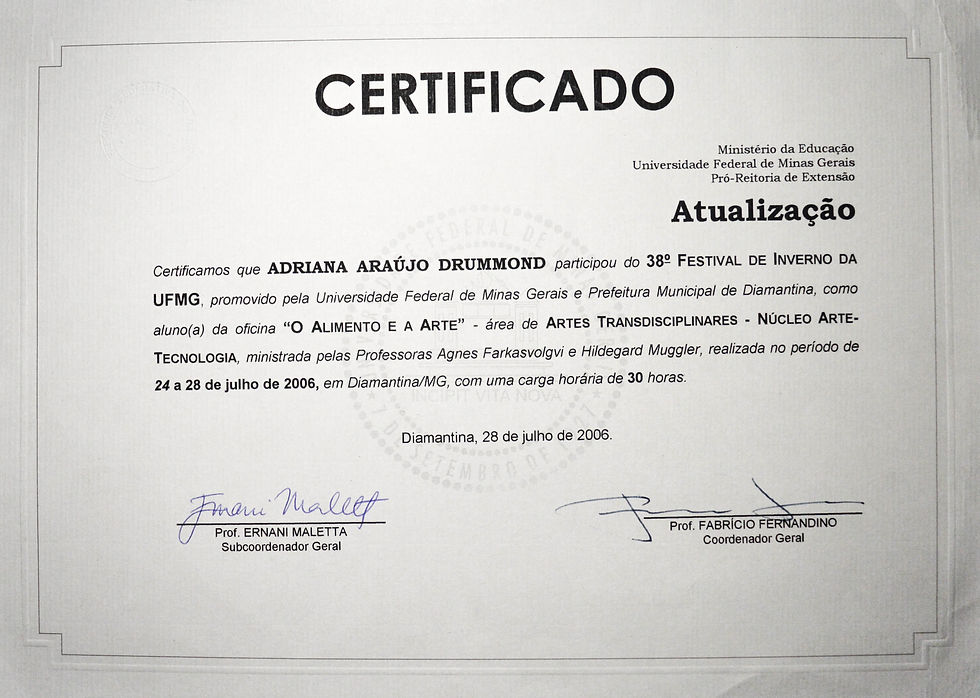 O Alimento e a Arte – 38° Festival de Inverno da UFMG – Diamantina / MG