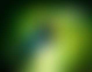 Varekai - Cirque du Soleil