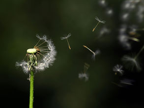 ADHD Resources: What I wish I knew