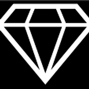 Diamond Shuttle Services Ltd logo