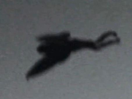 Chicago Mothman (2024)
