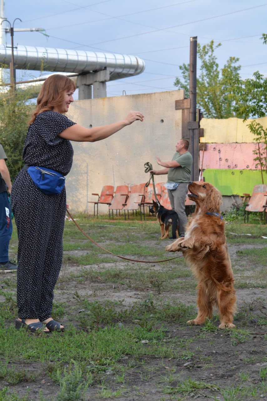 Настя и Лаврентий