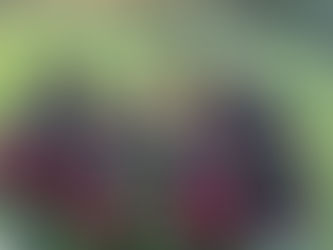 Join the Team! Junior Registration for Season 25/26 Now Open