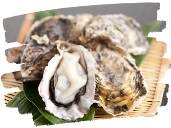 名称未設定のデザイン (1).png