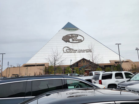 Finally some real winter