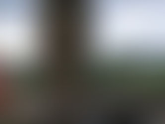 Wait – You mean it rains EVERY DAY?