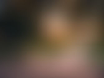 A College Campus at Golden Hour