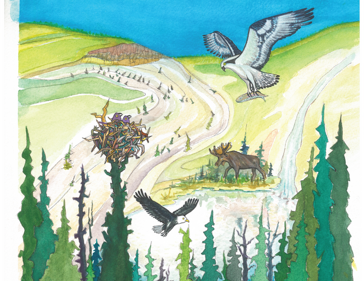 Lake Fork Valley Conservancy Forest Feast