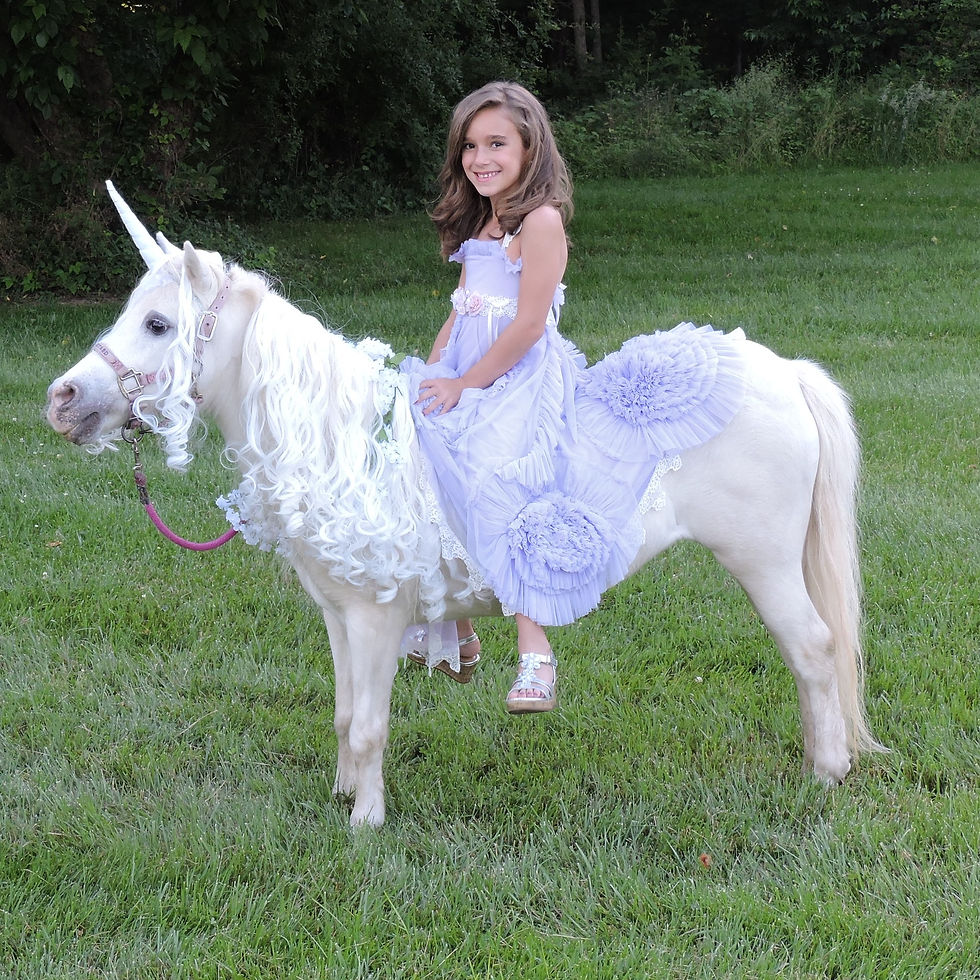 miniature horse