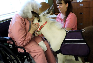 Prim - nursing home6.jpg
