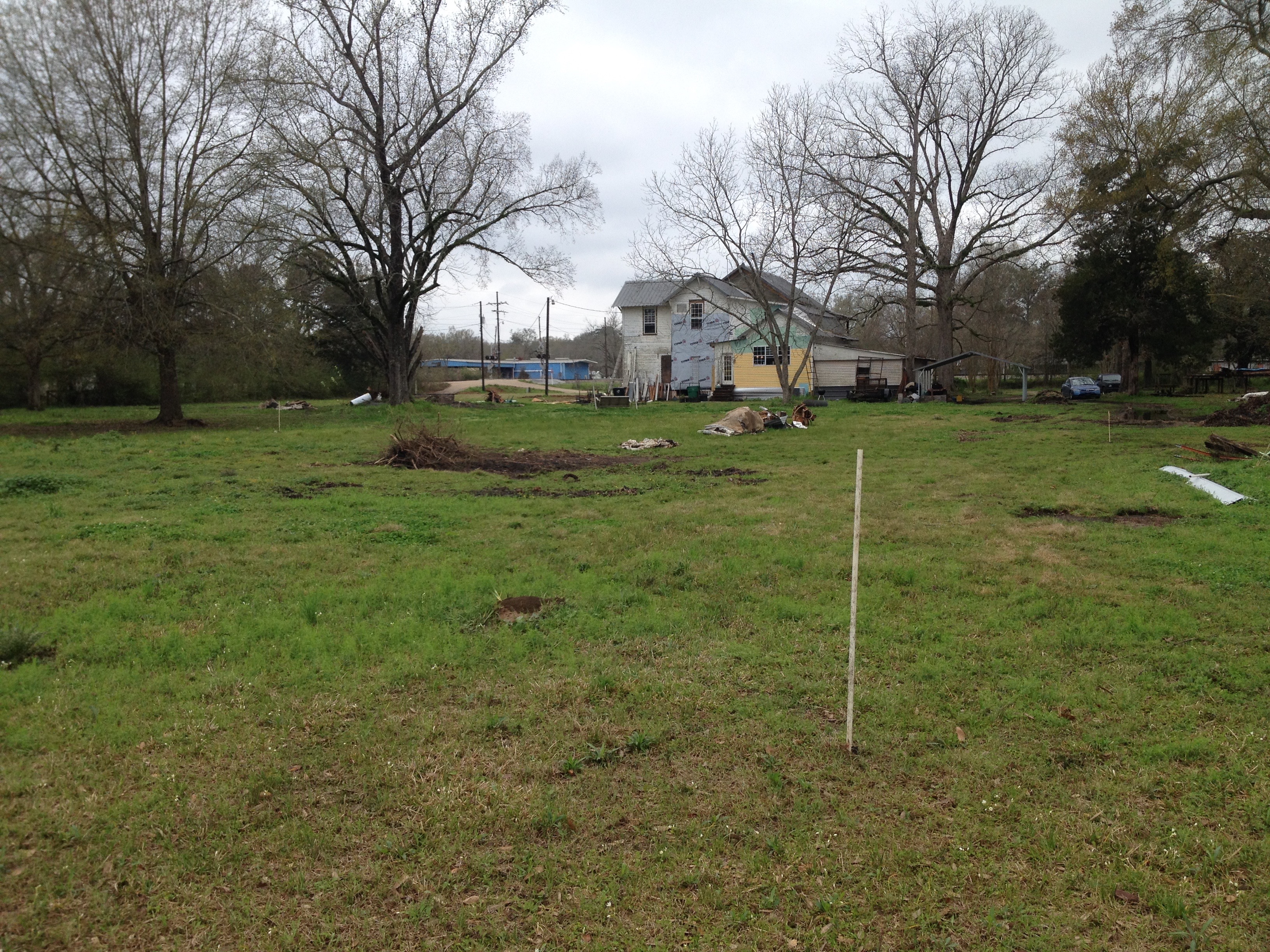 view to the house before garden