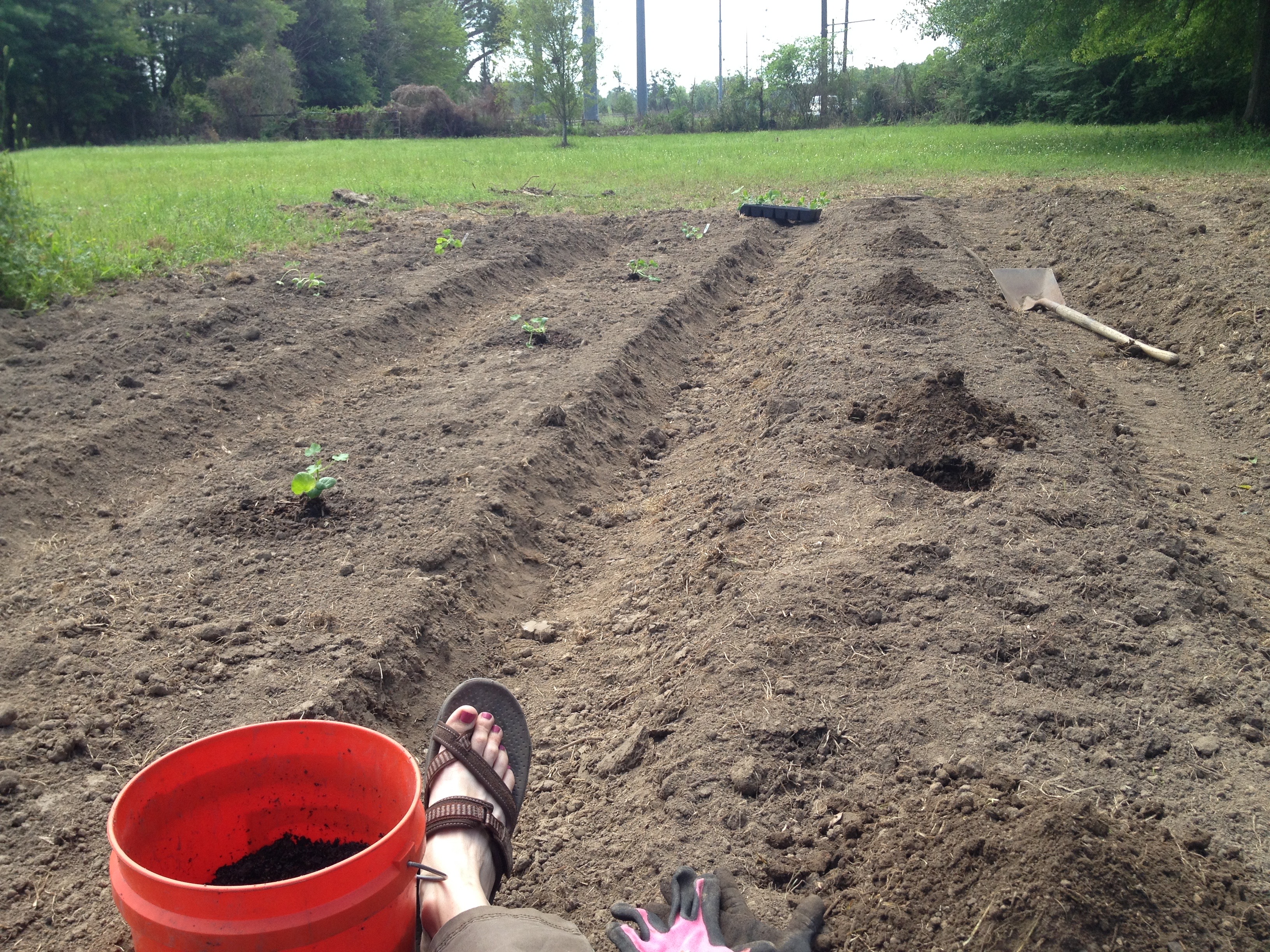 time to get planting