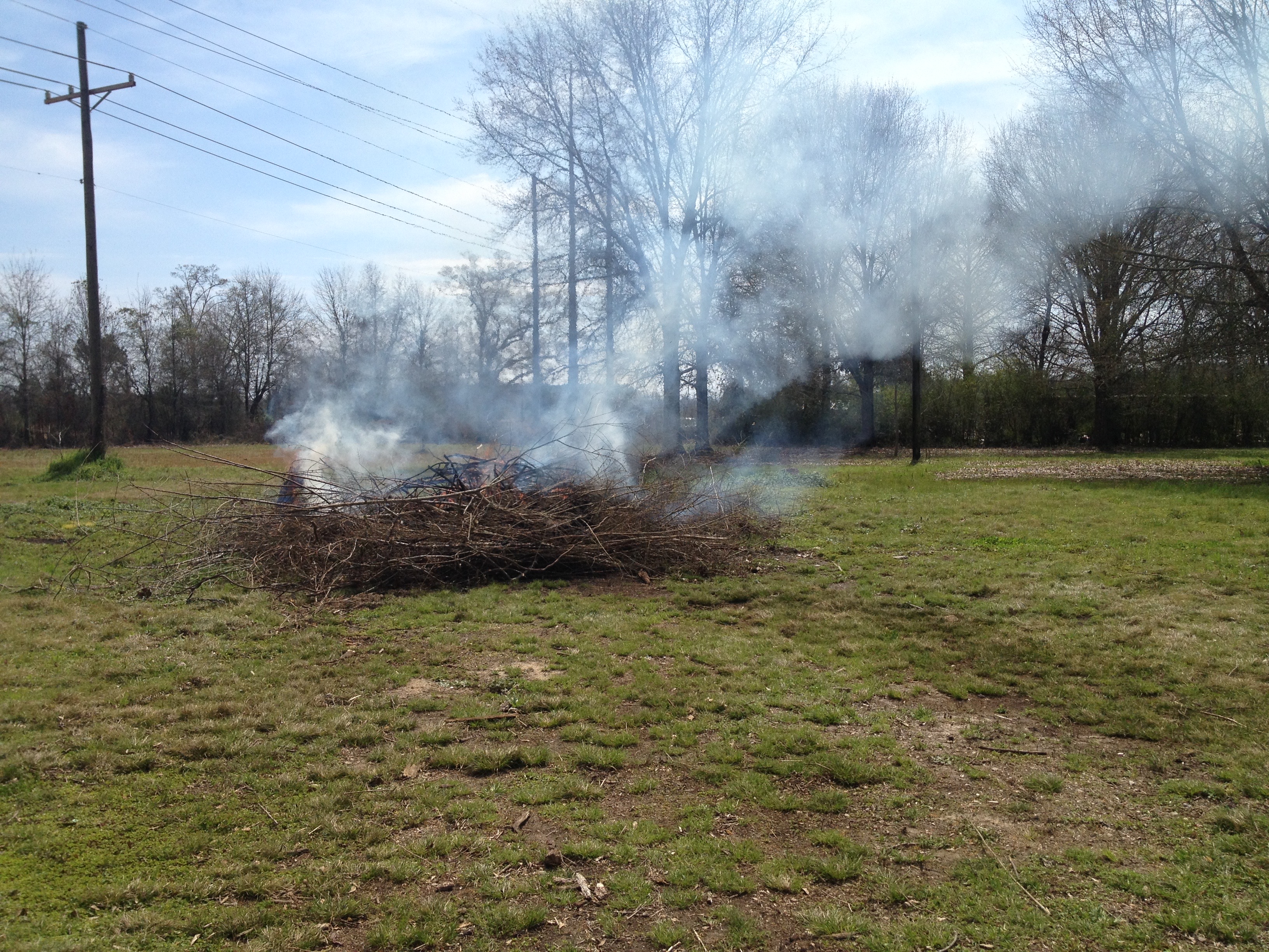 burn pile