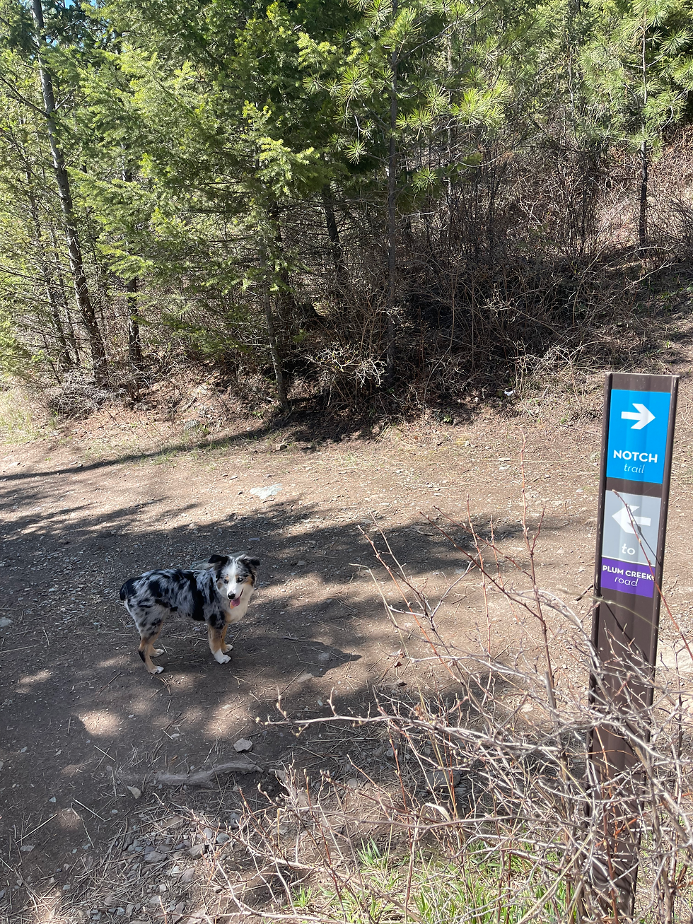 Hiking Directions at Herron Park Trails, to the Plum Creek Road Connector trail