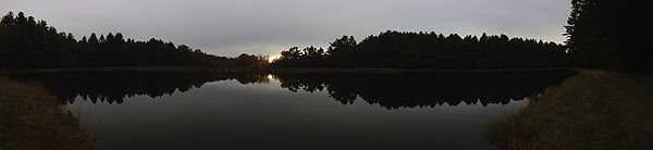 IMG_8287-2-950x219.jpg