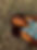 Emerge Evaluation.jpg