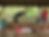 Untitled.png