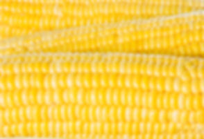 AdobeStock_68469412.jpeg