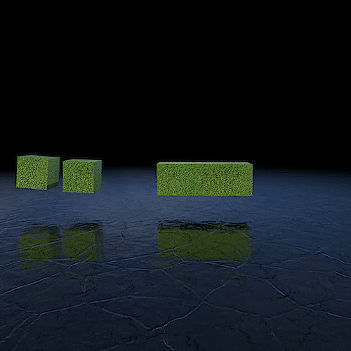 Newton Grass SQ.gif