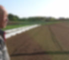 サムネイル： 無農薬 さつまいも訳あり 10kg