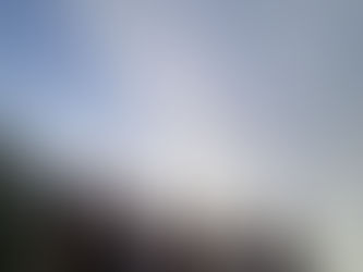 石焼き芋で集う