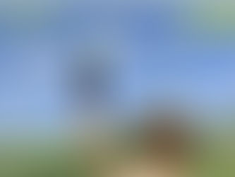 そら豆、玉ねぎ、ニンジンの生食に挑戦!~2020.05.24