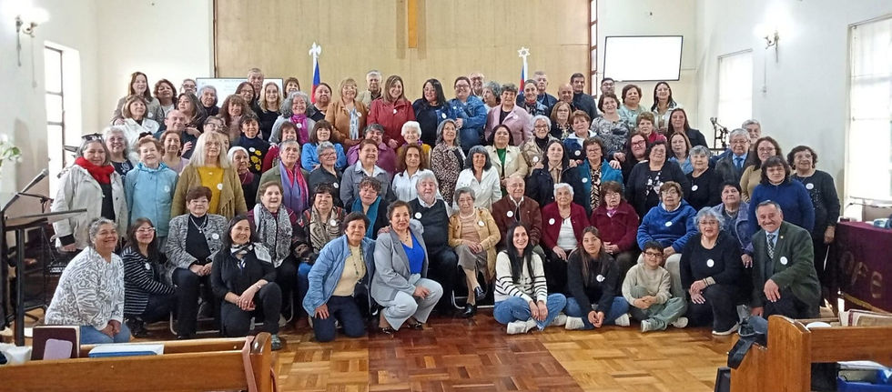 ipna sofepna chillan conferencia 25 v3_edited