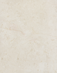 Website Elements (2).png