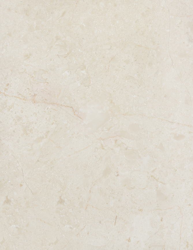 Website Elements (2).png