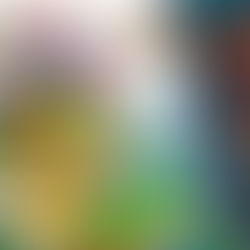 Let’s Talk about Super Mario 3D World + Bowser’s Fury