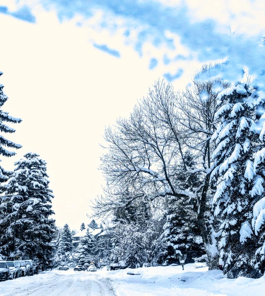 Winter Virtual New Year's Retreat