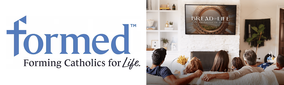 Blue Vibrant an White Modern Professional Website Development Services Banner.png