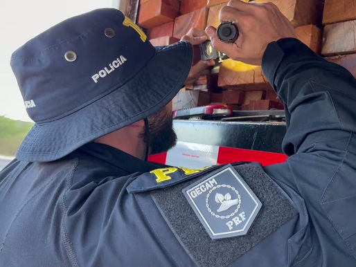 PRF apreende carga de madeira no sertão de PE