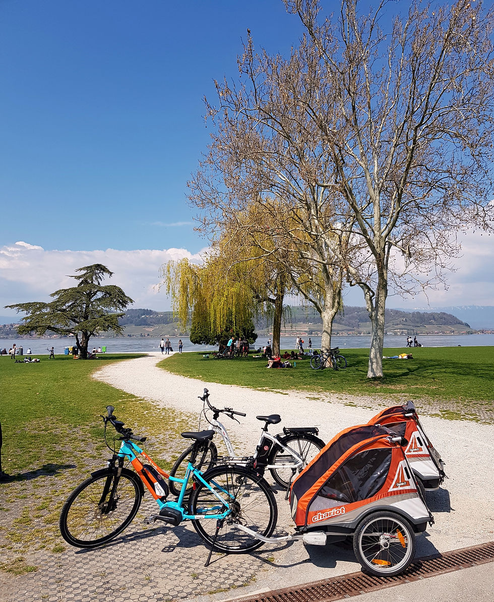 Lake Murten by bicycle | Murten - Morat (FR)