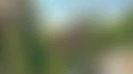 Safari de Peaugres: A night in a cabin sleeping above bears and wolves