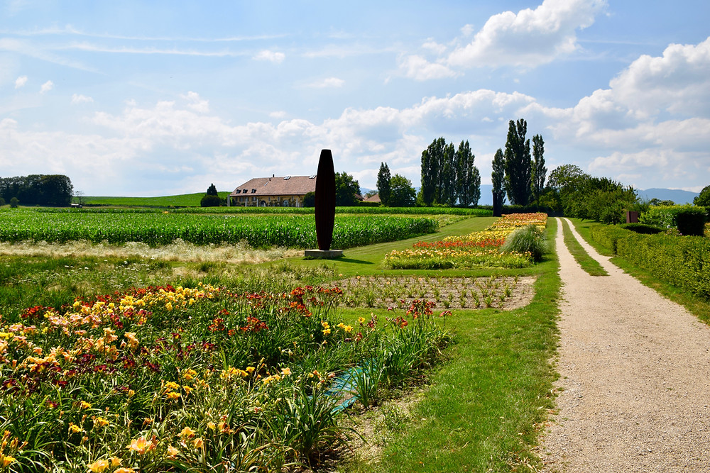 The Family of 5 - Les Jardins du Château de Vullierens - Jardins des Iris (VD)