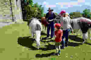 Llama Trekking in Lugano - Swiss Family Travel Blog - Visit Switzerland