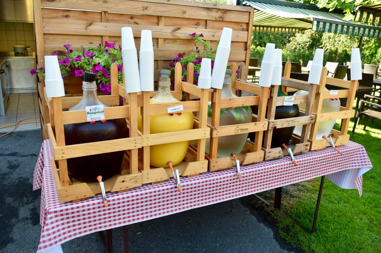 Weekend in the Principality of Liechtenstein - Swiss Family Travel Blog