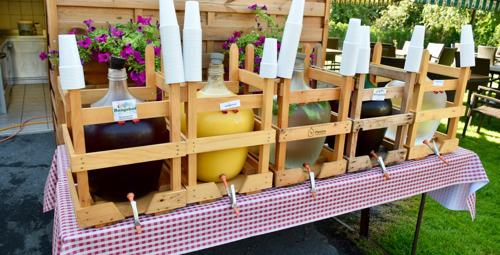 Weekend in the Principality of Liechtenstein - Swiss Family Travel Blog