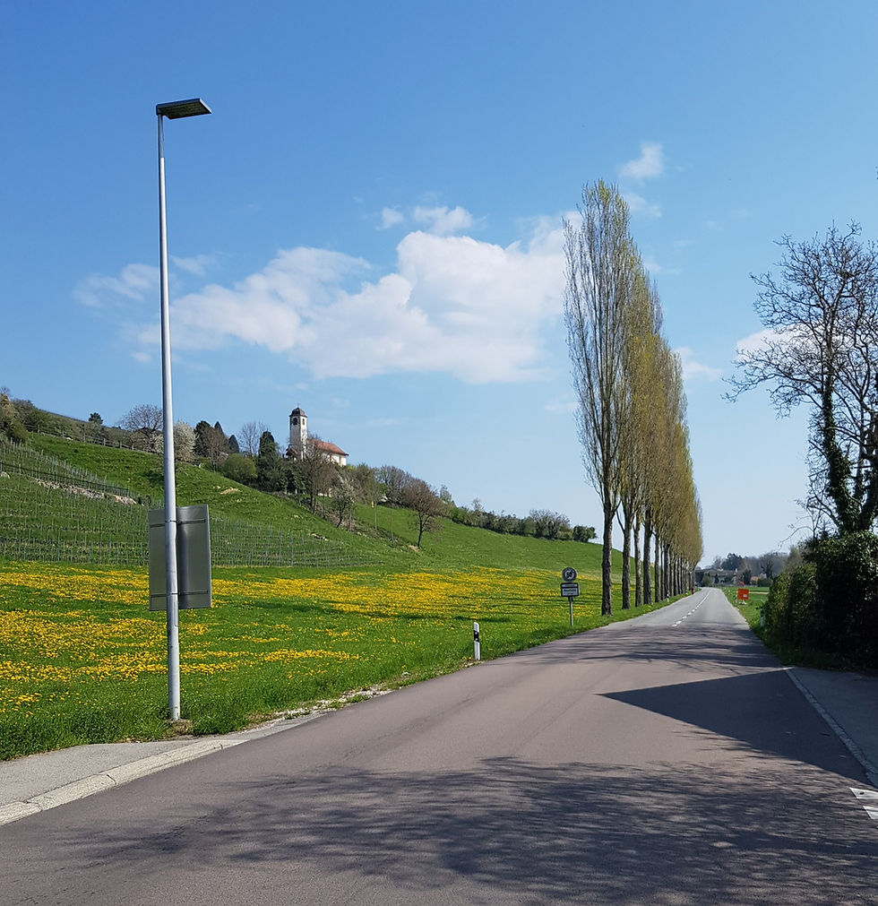 Lake Murten by bicycle | Murten - Morat (FR)