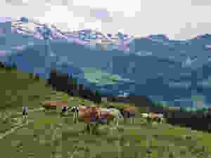 Engelberg - Brunni - Switzerland Travel Family of 5