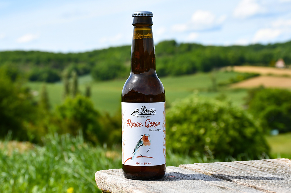 Bière artisanale Rouge Gorge 33cl