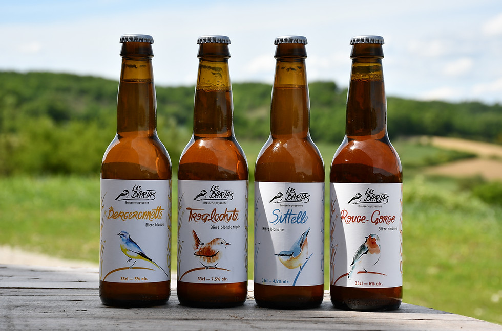 Bières alignées