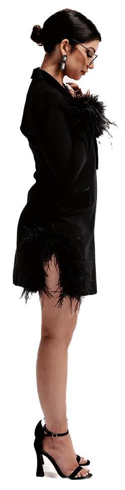 A40A2527-3-trans-crop.png