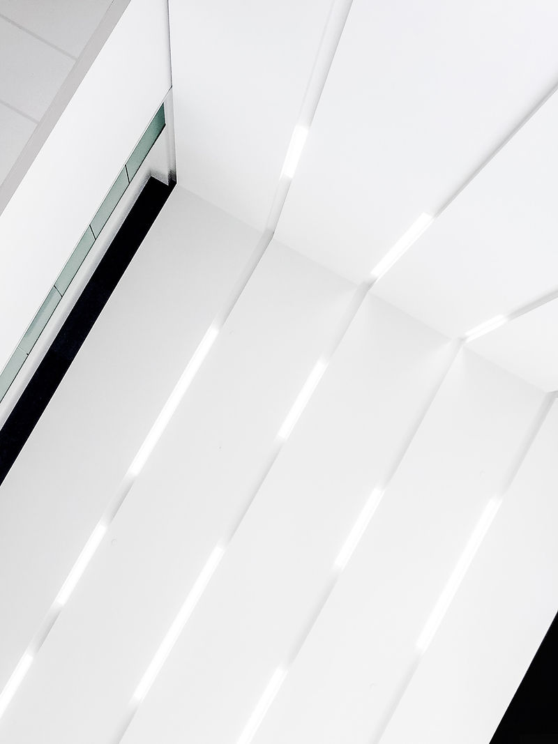 scott-webb-tMuYJL96A_I-unsplash.jpg